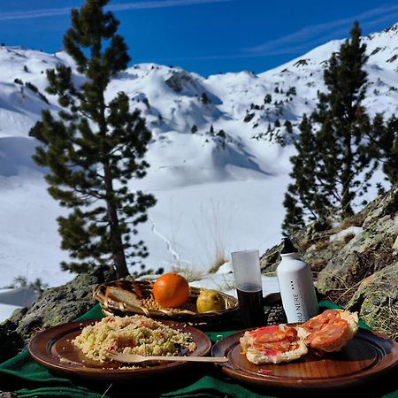 Riu Nere Mountain Hotel Vielha Dış mekan fotoğraf